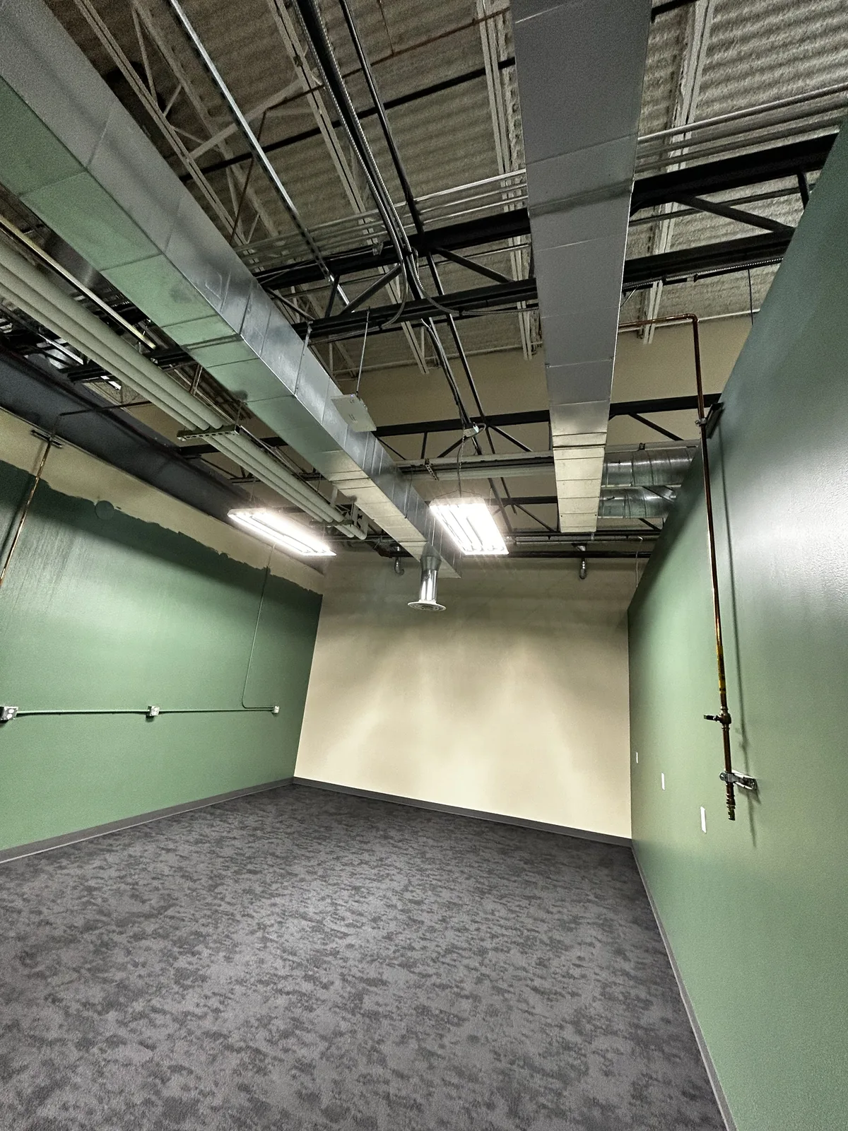 Completed commercial tenant-improvement suite in Mukilteo, WA — freshly painted walls, new carpet tile, and finished exposed-structure ceiling